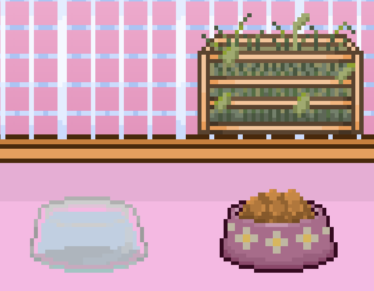 Filled Food and Water Items