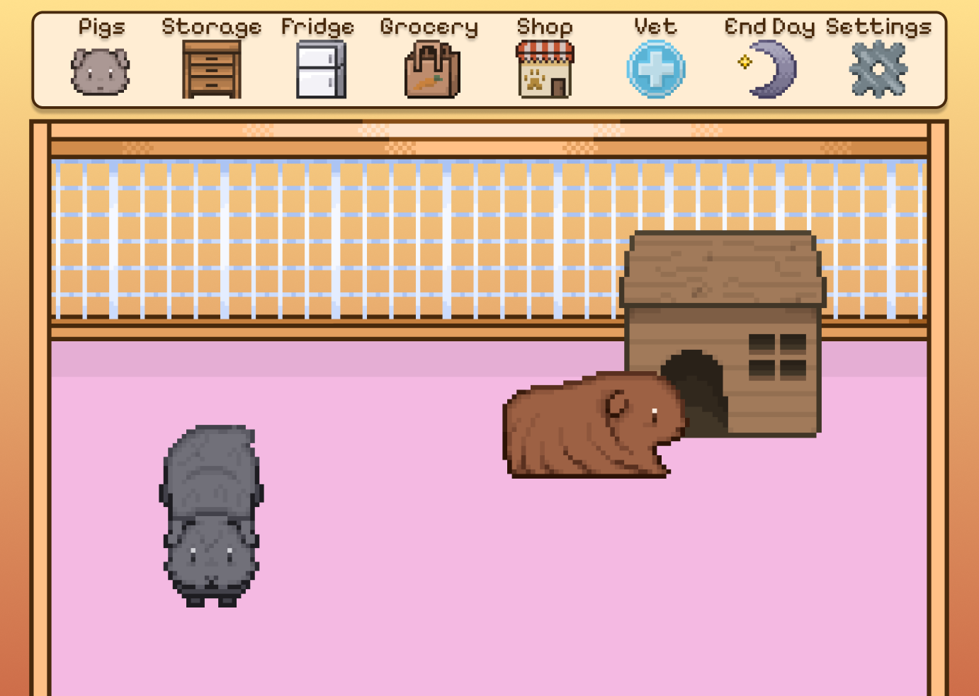 Guinea Pig Cage Screen