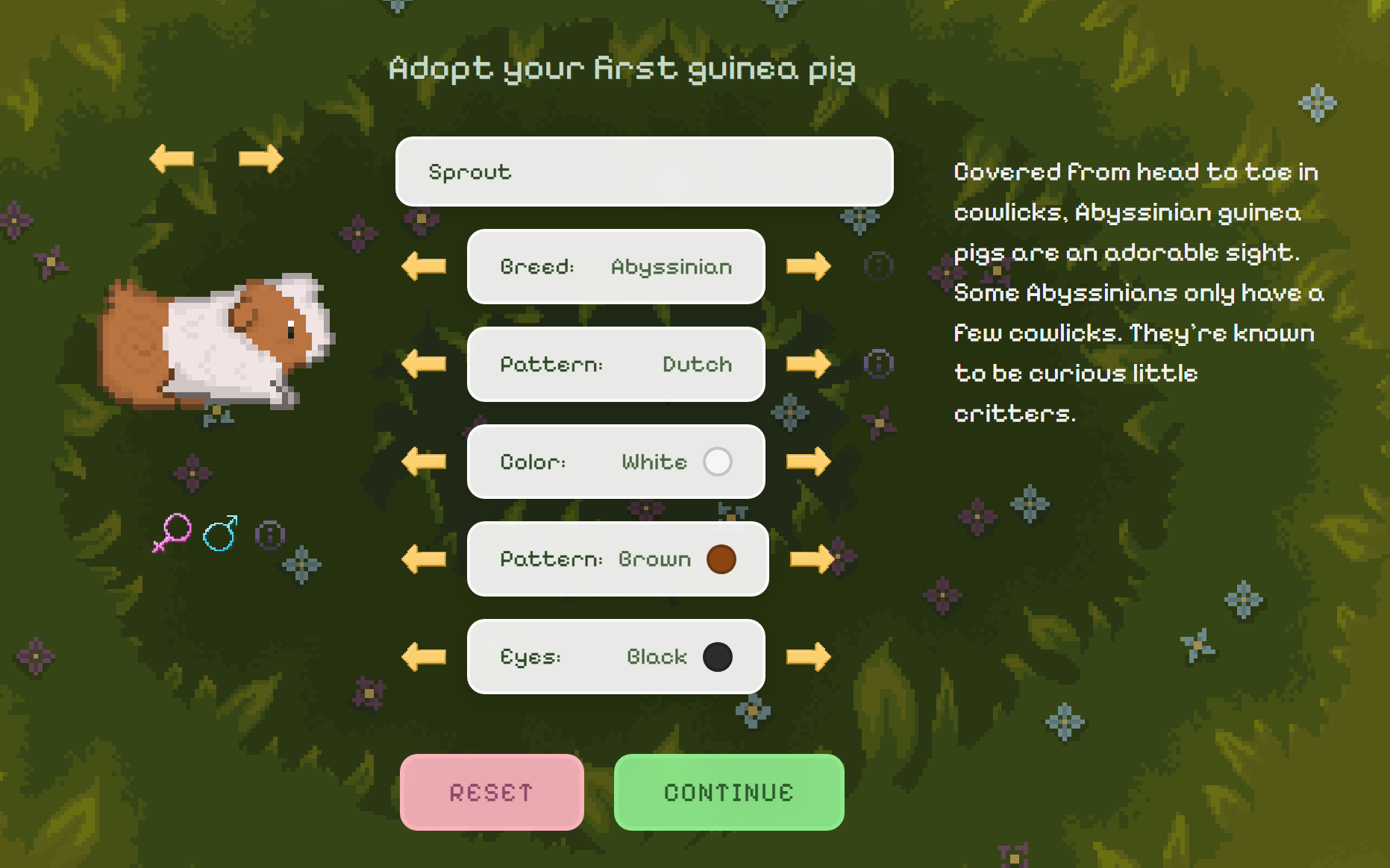 Guinea Garden Customizer